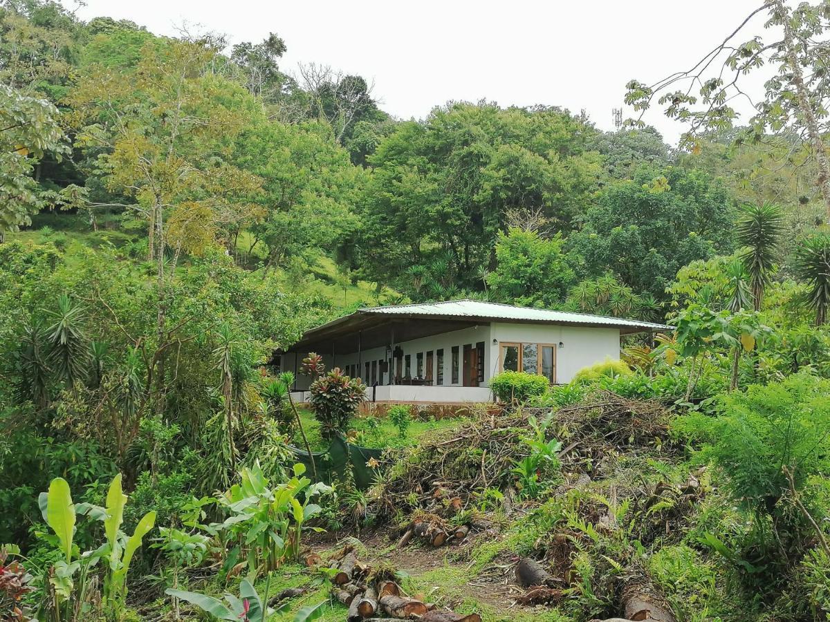 Tilarán La Ceiba Tree Lodge المظهر الخارجي الصورة